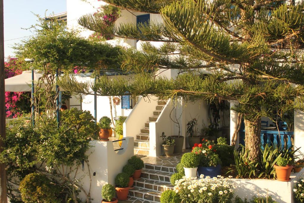 Pandora Studios Νάουσα Εξωτερικό φωτογραφία